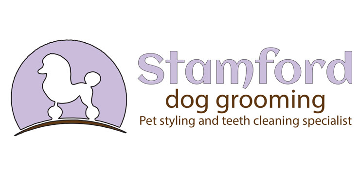 Dog grooming and teeth cleaning 2024 near me